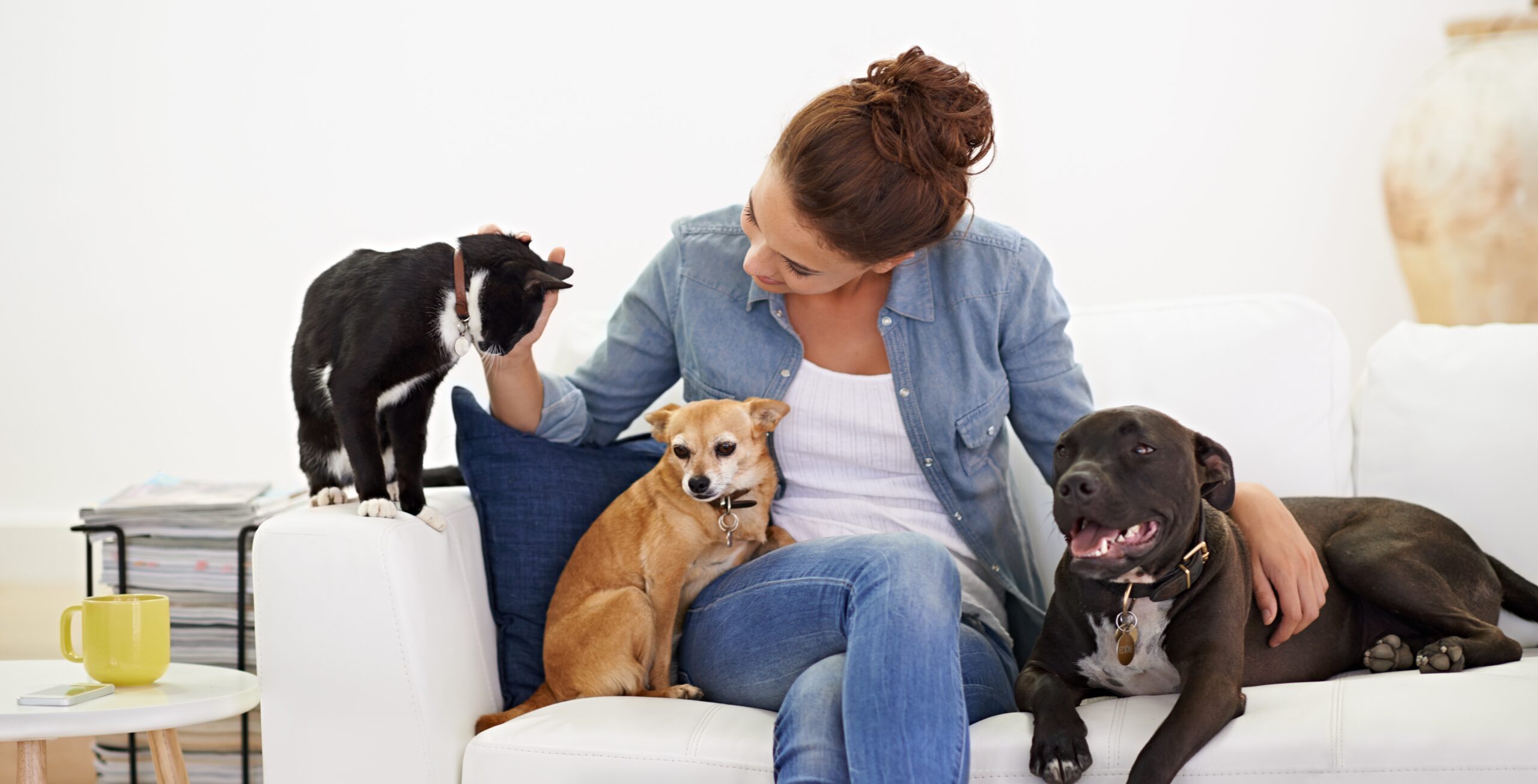 Can a Landlord Deny You Because of Pets?