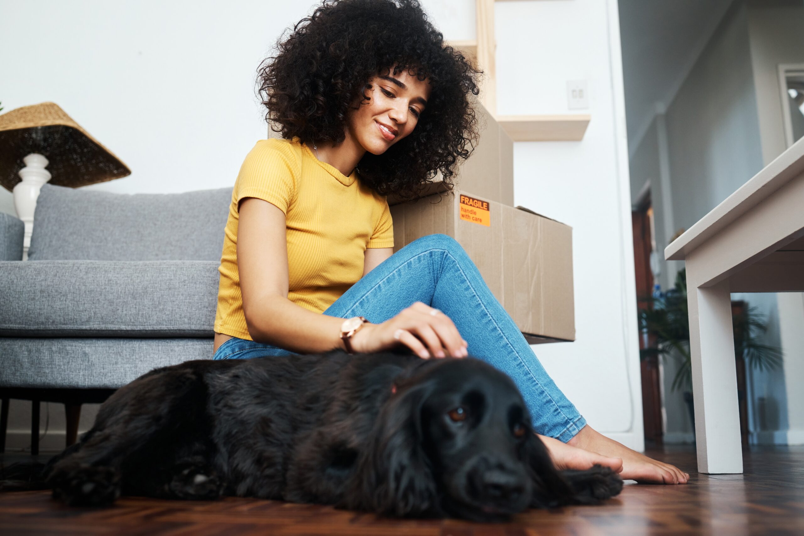 Are Pets Allowed in a Rent-to-Own Home?