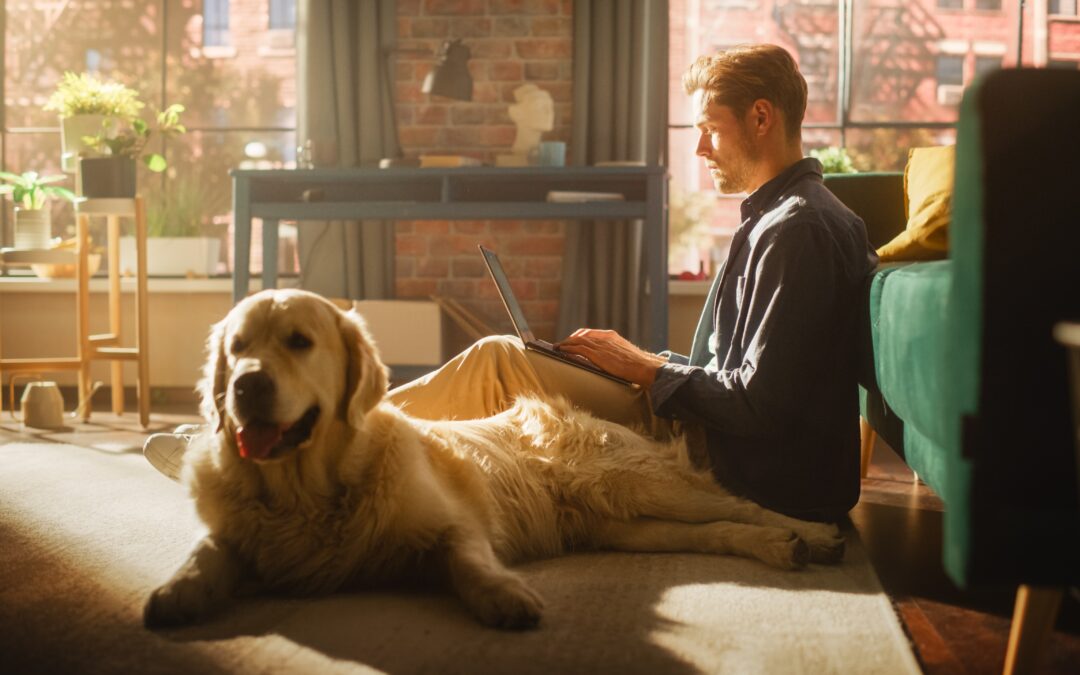 Pet Fees, Pet Deposits, and Pet Rent: What’s the Difference?
