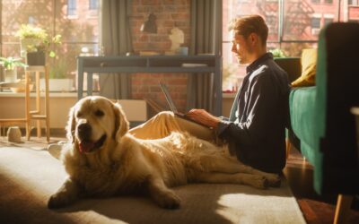 Pet Fees, Pet Deposits, and Pet Rent: What’s the Difference?