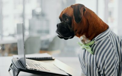 How to Make a Pet Resume for a Rental Application