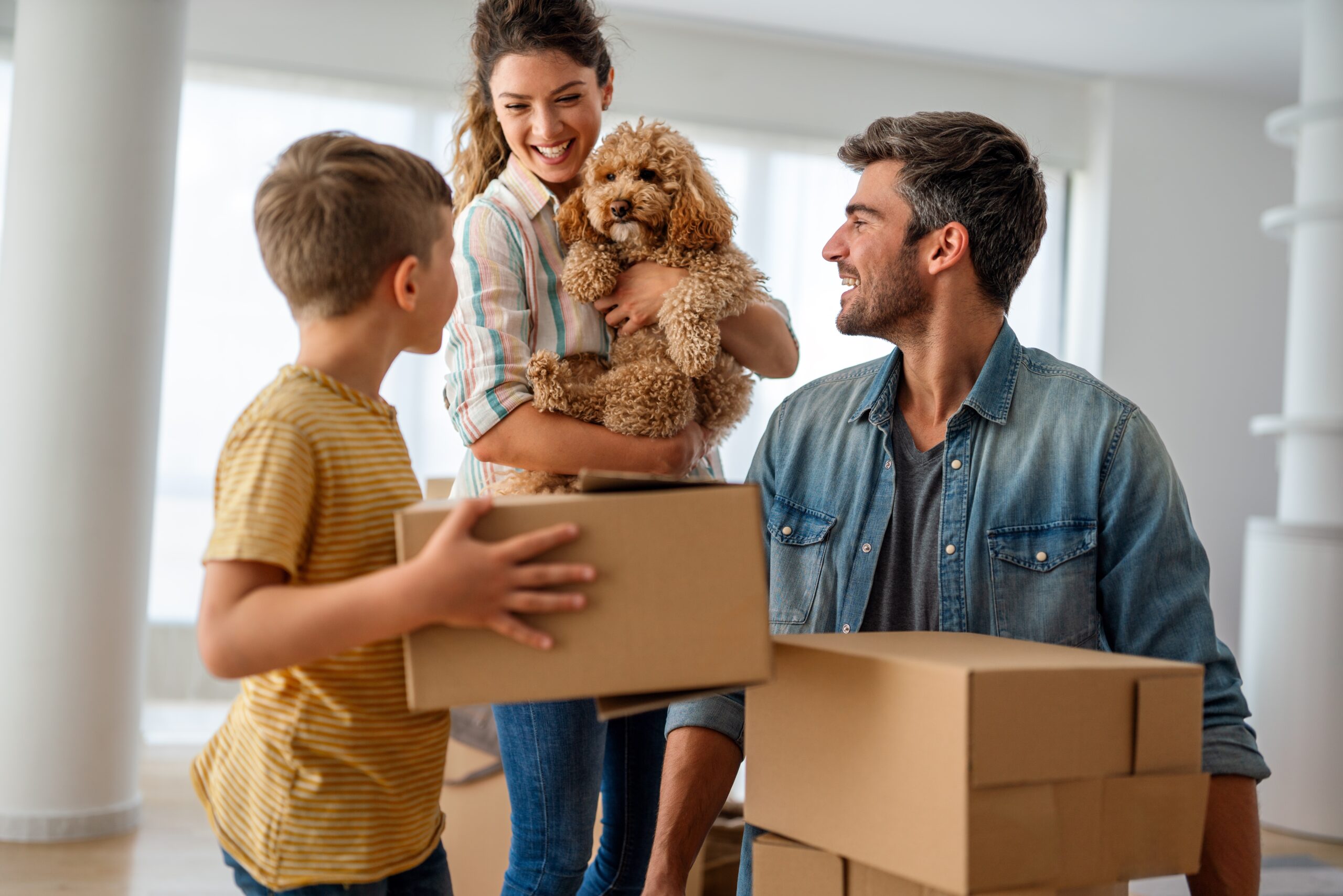 Renting With a Dog: How to Find a Pet-Friendly Apartment Without Expensive Surprises